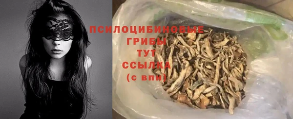 ПСИЛОЦИБИНОВЫЕ ГРИБЫ Алзамай
