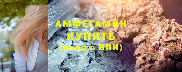 ПСИЛОЦИБИНОВЫЕ ГРИБЫ Алзамай