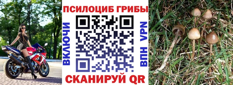 Псилоцибиновые грибы Magic Shrooms  Олонец 